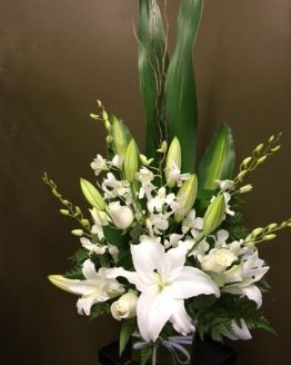 eleganceinwhite