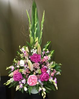 peonies_and_pinks